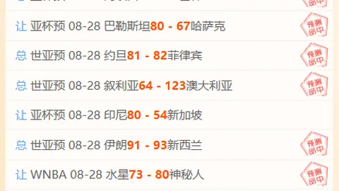 春季赛战队调，信誉十大博彩官网入口，整，战术布局成焦点